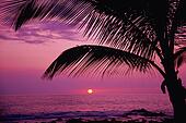 Sunset with pink clouds