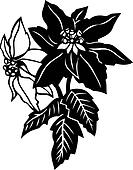 are pointsettias poisonous to goats