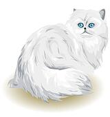 perian cat cartoon