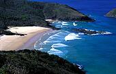 u13963073 Traveling with Us