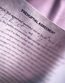 Michigan's Prenuptial Agreements - Divorce Attorneys  - x13843089