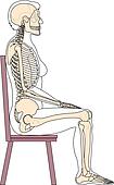 Stock Illustration of Lateral view of full skeleton sitting. sa404018 ...